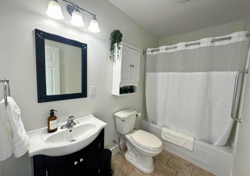 a bathroom with a sink and a toilet and a shower at Saltwater Steeple in Port Saunders