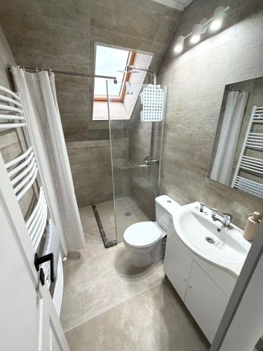 a bathroom with a toilet and a sink at Tudor's Rooms in Mediaş
