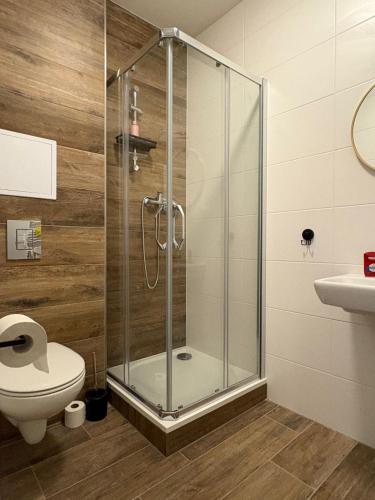 a bathroom with a shower with a toilet and a sink at Apartmány Polná na Šumavě in Svíba