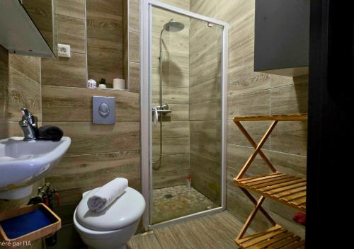 a bathroom with a shower and a toilet and a sink at La Petit Clé - Centre Ville in Sélestat