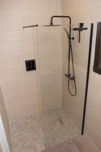 a shower in a bathroom with a glass door at T4 Oasis tropicale x Nawassi in Pamandzi