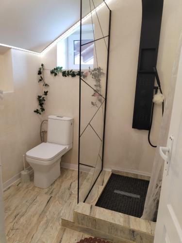 a bathroom with a toilet and a shower at Old Country Sight in Prejmer