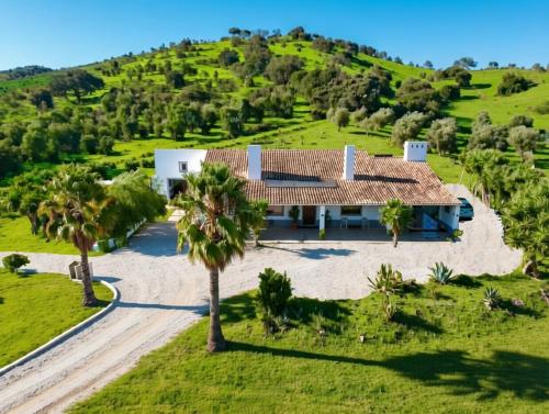 an aerial view of a house on a hill with palm trees at Luxe villa for 8 - Heated Pool -AC -BBQ Area - Patio - 160Mbps - Olives - Palm - vineyard in Santa Luzia