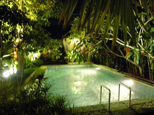 einen Pool in einem Garten in der Nacht in der Unterkunft Villa Rosseno - Evelyn Private pool and Garden in Yogyakarta