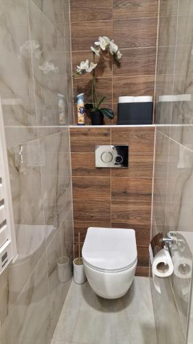 a bathroom with a white toilet and a bath tub at Boudoir-Art Studio Apartment in Debrecen