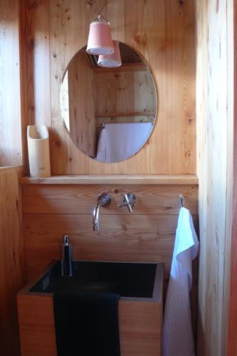 a bathroom with a sink and a mirror at minipockethouse in Evolène