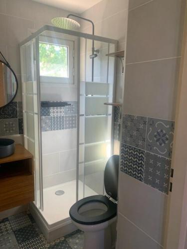 a bathroom with a toilet and a glass shower at La splendide Coralline in La Saline Les hauts 