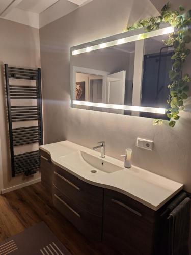 a bathroom with a sink and a mirror at Parva Domus XL in Xanten