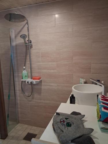 a bathroom with a shower and a sink at Kihulase maja in Luigu