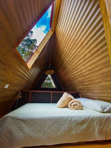 a bed in a wooden room with a window at Casa Tucan Glamping in Turrialba
