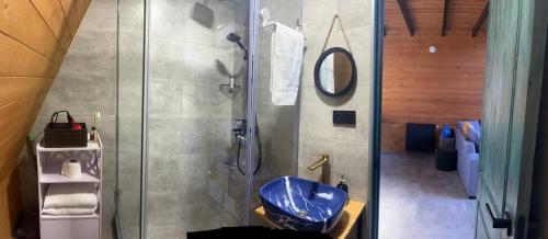 a bathroom with a shower and a blue toilet at Day Off in Dushetʼi