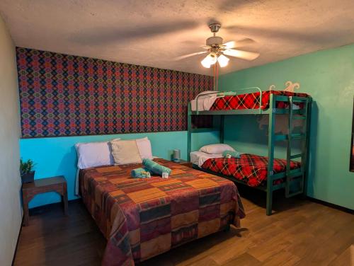a bedroom with two bunk beds and a ceiling fan at Hierba De Conejo Hostel in Oaxaca City