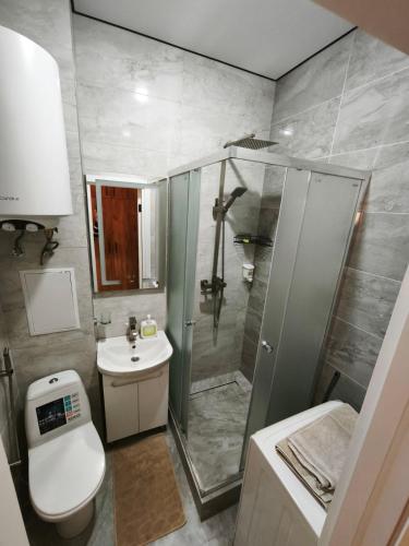 a bathroom with a shower and a toilet and a sink at АппартОтель,Софія,пл Соборна in Dnipro