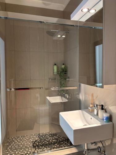 a bathroom with a sink and a shower at The Oryx Luxury Apartment in Windhoek