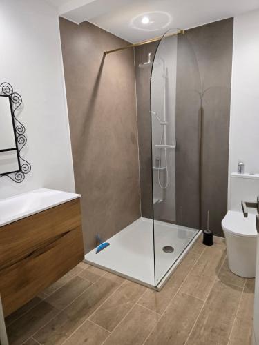 un bagno con doccia e lavandino di Charmant T2 a Sotta