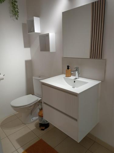 a bathroom with a white sink and a toilet at Chez Wan'Elle in Thorigné-sur-Dué