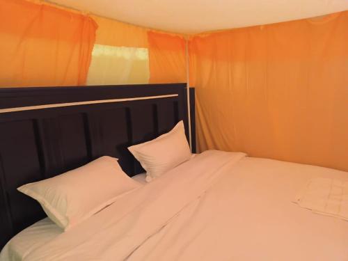 a bed with two white pillows and an orange wall at Ark House in Soroti