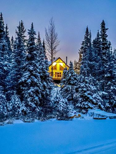 a house in the middle of a snow covered forest at Chalet cozy en bord de lac in Saguenay