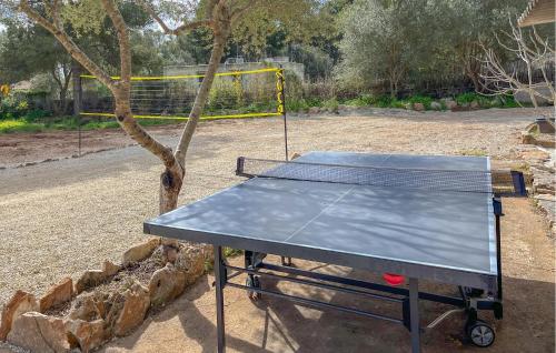 a ping pong table in front of a tree at Sa Caseta De Portocolom in Felanitx