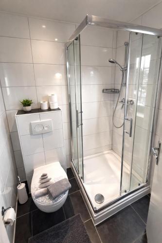 a bathroom with a shower with a toilet and a sink at Quartier An der Rennbahn in Bremen