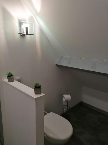 a white bathroom with a toilet and a sink at Studio Paisible in Nouzilly
