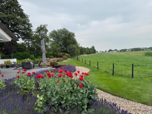 a garden with red and purple flowers next to a field at Aan de Amstel in De Hoef