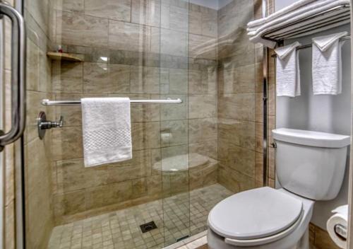 a bathroom with a toilet and a shower at Zanesville Inn in Zanesville