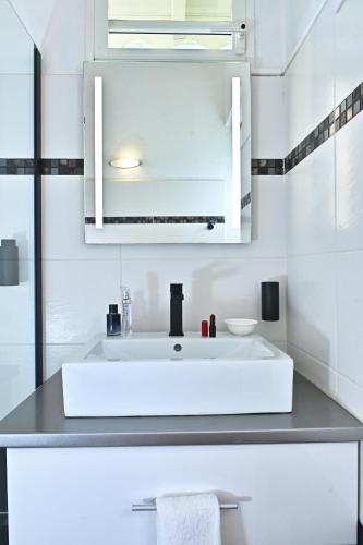 a bathroom with a white sink and a mirror at Cottage Vanda in Le Moule