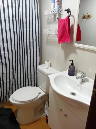a bathroom with a white toilet and a sink at Cabaña Terraza Choshuenco in Panguipulli