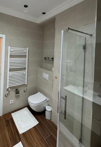 a bathroom with a toilet and a shower at Apartman Golden in Senta