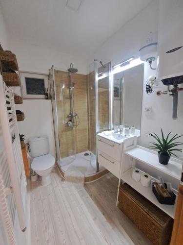 a bathroom with a shower and a toilet and a sink at Domeček Sára in Mohelnice