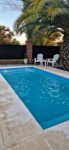 a swimming pool with two white chairs and a palm tree at La Gualeyita in Gualeguay