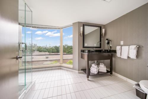 a bathroom with a sink and a mirror at Ramada Plaza by Wyndham Niagara Falls in Niagara Falls