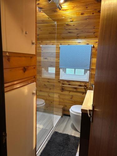 a bathroom with a shower and a toilet and a window at 345 Ida's Cabin in Trawsfynydd