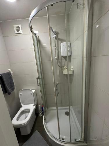 a bathroom with a shower and a toilet at Spacious Flat White City in London