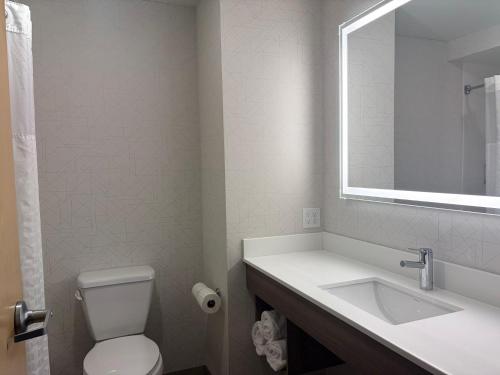 a bathroom with a toilet and a sink and a mirror at Holiday Inn Express - Cortland by IHG in Cortland