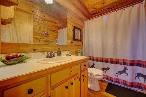 a bathroom with a sink and a toilet in a cabin at Amy’s Blue Ridge Mtn & Starlight View in Ellijay