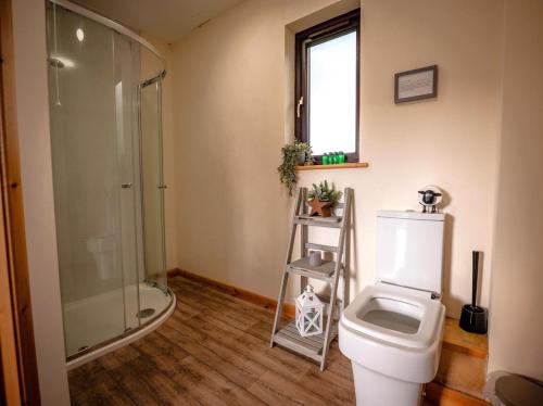 a bathroom with a toilet and a shower at 2 Bed in Llandrindod Wells oc-88203 in Llandegley