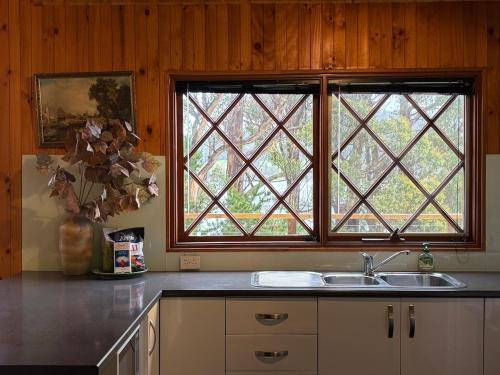 a kitchen with a sink and two windows at Cygnet Cabin in Lymington