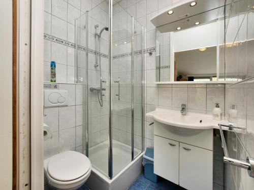 a bathroom with a shower and a toilet and a sink at Chalet in Odeigne with Private Pool & Sauna in Manhay