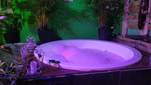 a bath tub filled with pink water with plants at HOUSE IBIS Salento in Salento