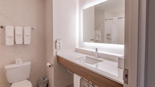 a bathroom with a sink and a toilet and a mirror at Holiday Inn Express & Suites Macon - I-475 by IHG in Macon