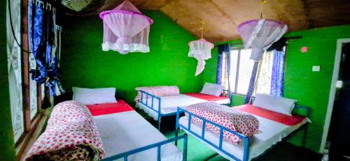 ein Zimmer mit drei Betten und einer grünen Wand in der Unterkunft Riverside hostel in Ghanpokhara