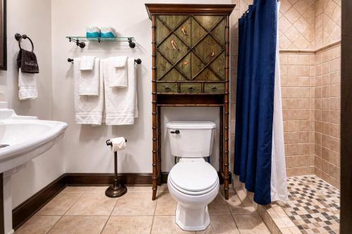 a bathroom with a toilet and a sink at Hideaway Cottage Chateau DuMont in Banner Elk