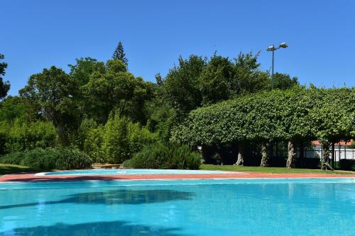 an empty swimming pool with trees in the background at Pousada Convento de Beja in Beja