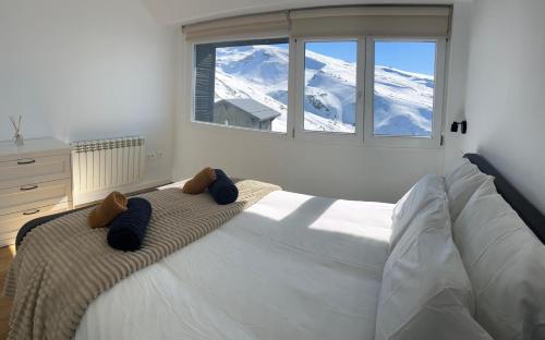 Sierra Nevada Deluxe zona alta