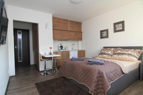 カルロヴィ・ヴァリにあるKV Apartmány Sokolovskáのベッドルーム(大型ベッド1台付)、小さなキッチンが備わります。