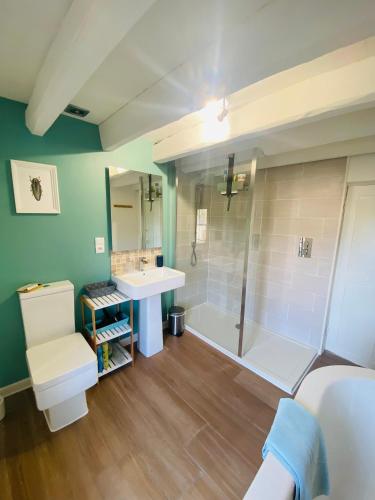 a bathroom with a shower and a sink and a toilet at Gîte La Vie Verte - Gîte charmant 3 etoiles classé Meublé de Tourisme in Saint-Domet