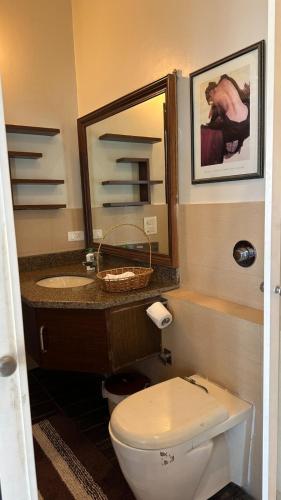 a bathroom with a toilet and a sink and a mirror at Silver Oak Mansion in Jalandhar