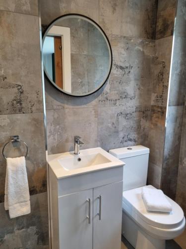 a bathroom with a sink and a mirror and a toilet at Hidden Acres- Room with Double & Single Bed, Malahide in Malahide